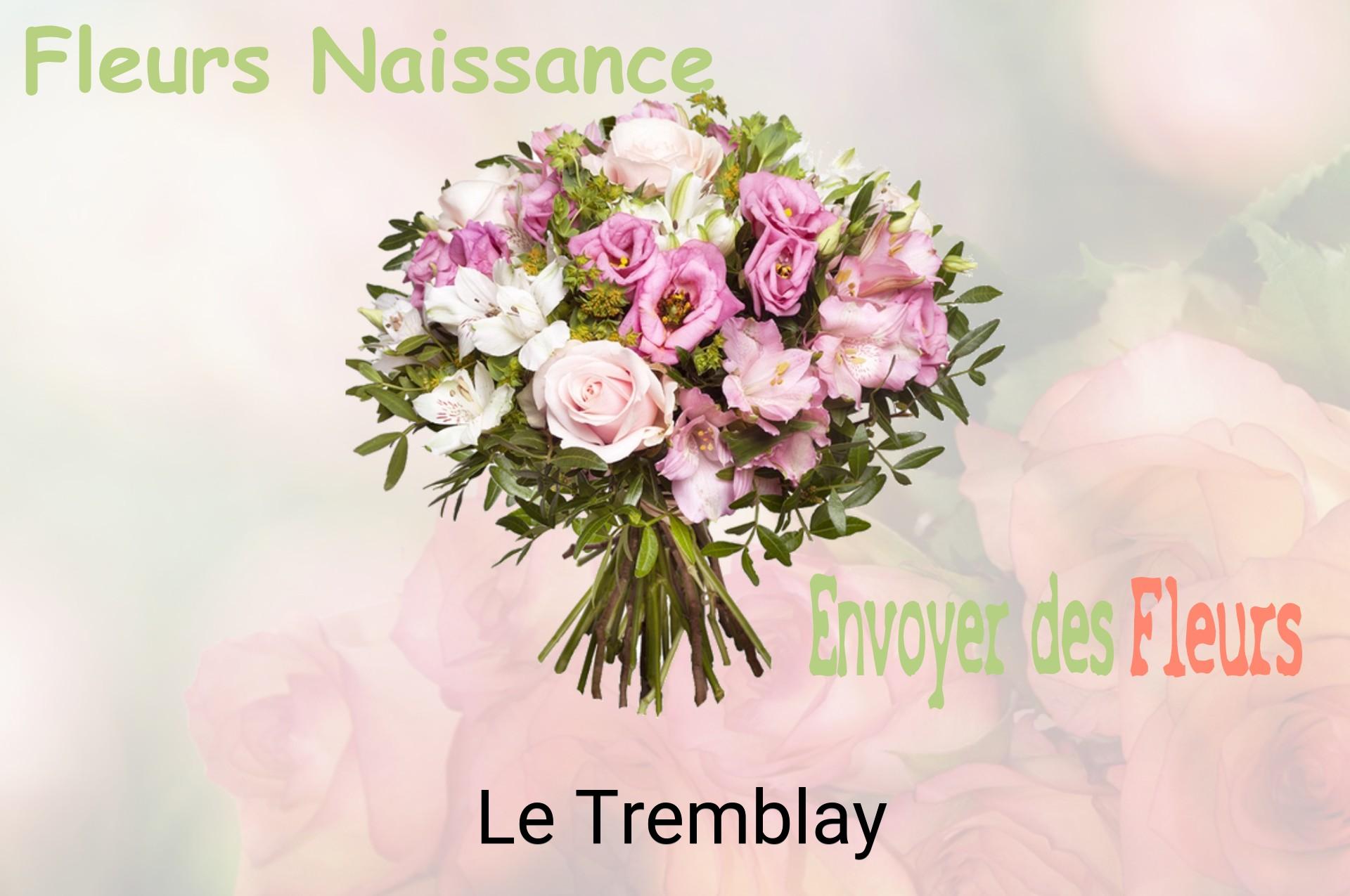 Bouquet de fleurs de naissance livré à Le Tremblay