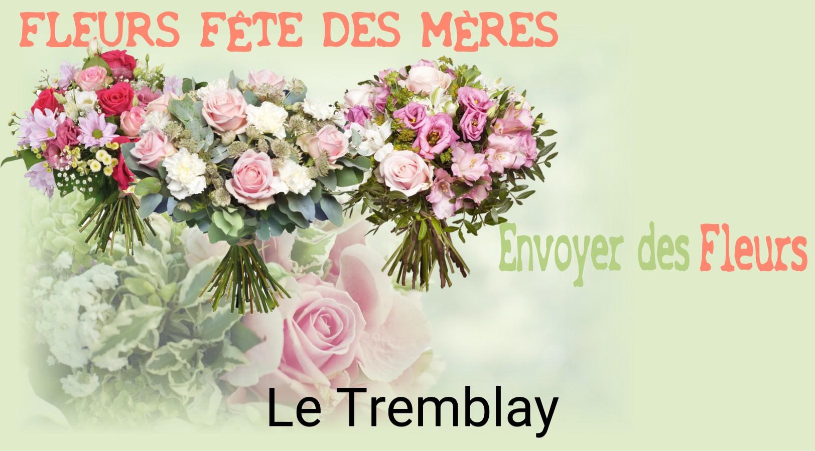 Bouquet de Fête des Mères livré à Le Tremblay